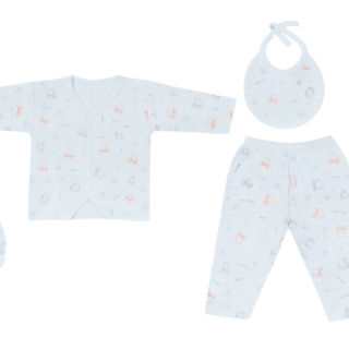 BlueBeeps Newborn Printed Sleepsuit Set – Sky Blue (0–6 Months)
